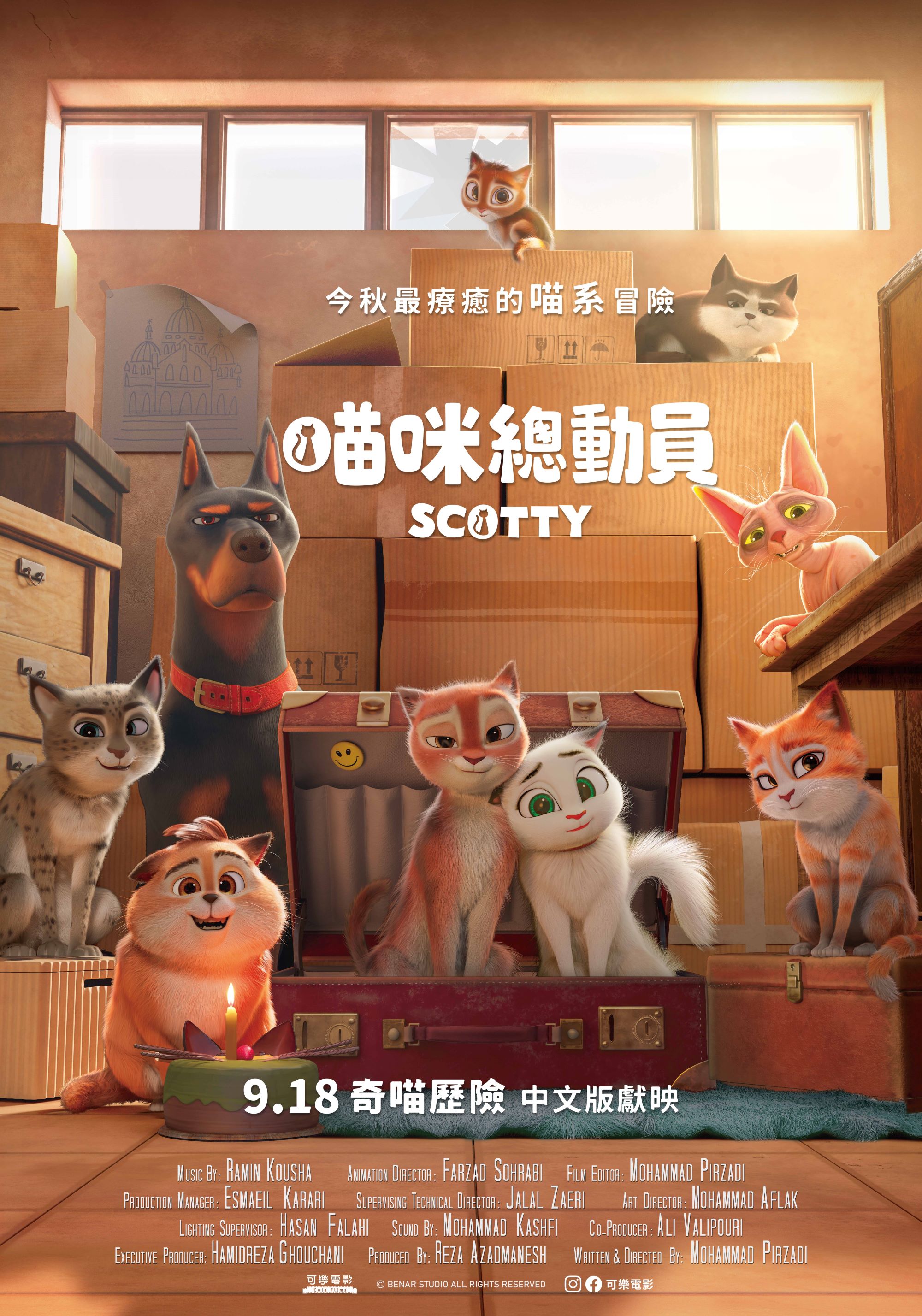 喵咪總動員SCOTTY